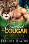 [Gefährtinnen der Cougar-Creek-Wandler 03] • Courted by her Cougar